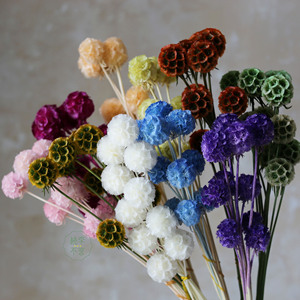Bouquet de gousses de Scabiosa naturelles préservées de haute qualité, gousses florales séchées en forme de roue à pin pour la décoration de vases domestiques, vente en gros - Product Image 5