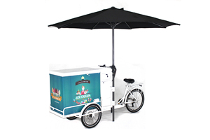 Refroidisseur de crème glacée électrique vélo vélo chariot avec congélateur à vendre - Product Image 3