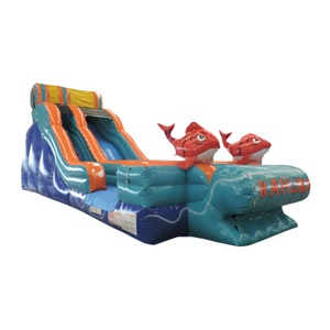 Toboggan gonflable géant commercial à sec, modèle Big Kahuna Red Fishes, pour enfants et adultes, idéal pour le jardin - Vente chaude - Product Image 2