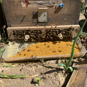 Poudre de <span class=keywords><strong>pollen</strong></span> <span class=keywords><strong>d</strong></span>'<span class=keywords><strong>abeille</strong></span> 100% pure de haute qualité, naturelle, en vrac, 20 kg/carton, durée de conservation de 2 ans - Product Image 3