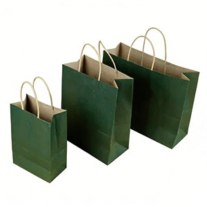 Sacs en papier finition mate, robustes et imperméables, pour boutiques, emballages cosmétiques, avec poignées en papier torsadé - Product Image 2