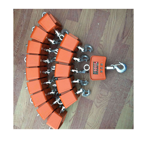 100kg 150kg 200kg Digitale Hängekranwaage - Product Image 5