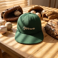 Gorra de Béisbol de Alta Calidad de 6 Paneles, 100% Algodón, Suave y Cómoda, con Correa Ajustable y Logotipo Personalizado para Exteriores
