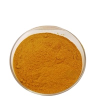 Poudre de concentré de fruits et légumes lyophilisés et séchés par pulvérisation, soluble dans l'eau, pour jus de fruits et crème glacée
