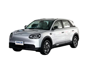 Chery QQ3 EV pour le marché européen avec classification quadricycle L7e et certification CE - Product Image 6