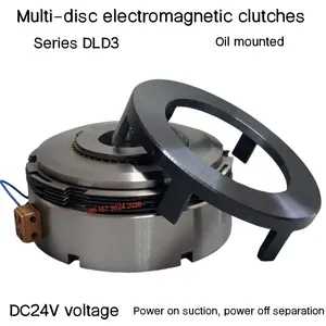 Embreagem eletromagnética multi-fricção tipo óleo série DLD3 DC24V JIEYUAN Fabricação de embreagem com design personalizado