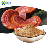 Poudre de champignon Reishi biologique EU&NOP, qualité alimentaire, vente en gros, poudre pure de Ganoderma Lucidum