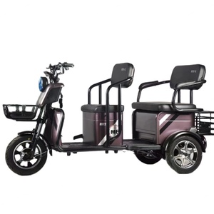 Triciclo Eléctrico Urbano, Scooter Eléctrico de 600w para Adultos, Vehículo Eléctrico de 3 Ruedas en Oferta - Product Image 1