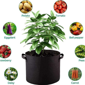 Sac de culture en tissu aéré avec poignées, design vertical pliable, durable et écologique pour la plantation de bleuets en jardin - Product Image 1