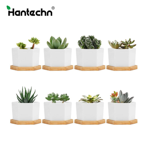 Vasi per <span class=keywords><strong>Piante</strong></span> da Interno Esagonali in Stile Nordico a Basso Prezzo, Piccoli Vasi in Ceramica Bianca per Succulente Miniature - Product Image 3