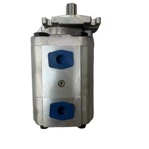 Bomba de engranajes hidráulica doble integrada de aleación de aluminio sin recubrimiento, eje recto, puertos de aceite dobles independientes, ¡Gran oferta! - Product Image 5