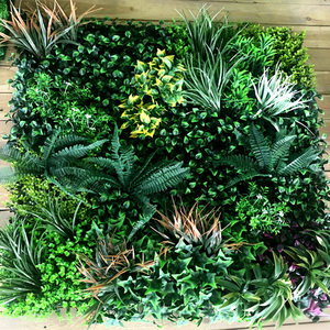 แผ่นผนังหญ้าเทียมสีเขียวทหาร ป้องกันรัง<span class=keywords><strong>สี</strong></span>ยูวี เป็นมิตรกับสิ่งแวดล้อม ทนไฟ ขนาด 40 ซม. สำหรับตกแต่งสวน - Product Image 6