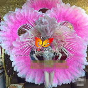 Plumes d'<span class=keywords><strong>autruche</strong></span> teinte pour le Costume de carnaval, 10 pièces, Photo de décoration zpdécor, qualité supérieure - Product Image 5