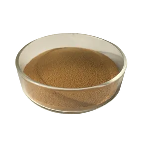 Factory Supply High Quality Organic Red Kidney Bean Powder