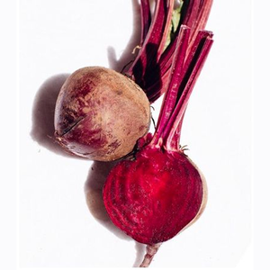Chicorée Rouge Foncé de Detroit pour l'Agriculture Moderne – Qualité Supérieure des Racines, Pureté 99,99%, Germination 85% – Excellent Cultivar Commercial - Product Image 3