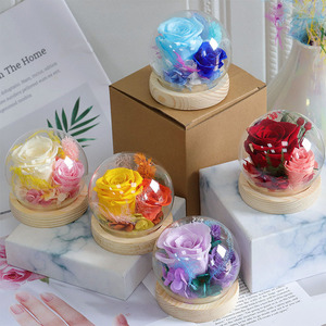 Cadeaux en gros que les jeunes adorent : Rose véritable préservée sous cloche en verre avec base en bois pour la décoration intérieure - Product Image 1