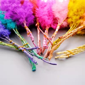 Hojas de Helecho Ming Secas Naturales, Reales y Conservadas, Ecológicas, Hechas a Mano, para Ramos de Boda, Decoración de Jarrones para el Hogar, Manualidades Florales, 50 Piezas - Product Image 6