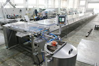 Ligne de dépôt de copeaux de rouleau de chocolat entièrement automatique de 600mm Machine de fabrication de gouttes de rouleau de chocolat