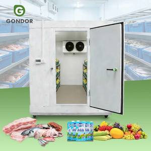 Nuevo Congelador Portátil, Contenedor Refrigerador, Cámara de Almacenamiento, Motor de Ahorro de Energía, Tamaño Personalizable para Uso Comercial, Frutas - Product Image 1
