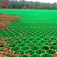 Grille en plastique HDPE pour système de renforcement du sol, allée, route en béton, gazon