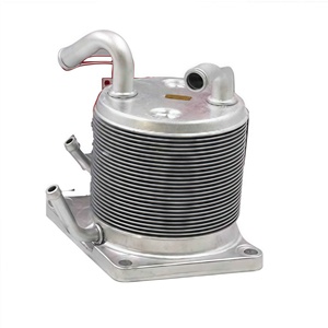 OEM 216061XF0A Nuevo Enfriador <span class=keywords><strong>de</strong></span> Aceite <span class=keywords><strong>de</strong></span> Transmisión para <span class=keywords><strong>Nissan</strong></span> <span class=keywords><strong>Sentra</strong></span> V B15 2.0L 2.5L <span class=keywords><strong>Caja</strong></span> <span class=keywords><strong>de</strong></span> <span class=keywords><strong>Cambios</strong></span> Automática 1998-2006 - Product Image 1