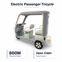 Tricycle électrique à 3 roues de haute qualité 800W