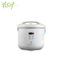 Micro cuiseur à riz pour 2/3 personnes, appareil de cuisine moderne, cuiseur multi-cuiseur électrique, boîte à Lunch, cuiseur à riz, usage domestique