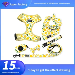 Bộ dây đeo ngực cho thú cưng bằng polyester tùy chỉnh sâu, 6 món, gồm dây dắt, nơ, dây đeo, khăn cho chó nhỏ, trung bình và lớn - Product Image 6