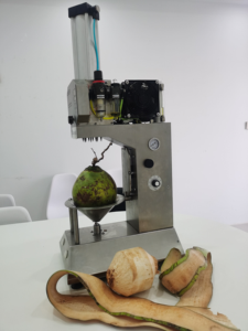 Machine à peler les noix de coco tendres en acier inoxydable 304, électrique, facile à utiliser, équipement de transformation des fruits - Product Image 2