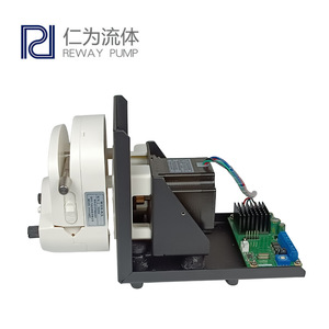 Reway <b>Pump</b> Mini Peristaltic <b>Pump</b> YZBZ-BS300B Side Standing Electric Metering <b>Pump</b> For <b>Fluid</b> Equipment - Product Image 2