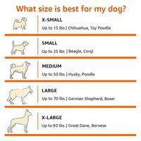 Cage de transport pliable pour chien avec fenêtres en maille respirante, solide, pliable, portable, caisse souple, grand plateau en plastique