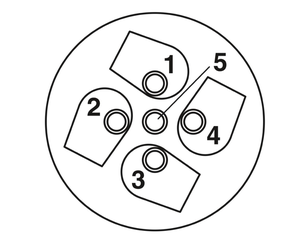 Conector Recto Hembra M12 SACC-M12FR-5CON-PG7-M de 5 Pines, Presilla de Cable PG7, Enchufe Circular Industrial para Cableado de Sensores de Automatización - Product Image 4