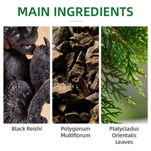 OEM ODM Organic Melanin Boosting Anti-Graying <strong>Darkening</strong> Black Ganoderma Anti-Gray <strong>Hair</strong> <strong>Shampoo</strong> for Gray <strong>Hair</strong> - Product Image 3