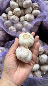 Ajo Fresco Cosecha 2026, Registro NAFDAC, Listo para Exportación, Bolsa de Malla de 5kg, 10kg, 20kg, Caja de Cartón, para Importación a Lagos, Nigeria - Product Image 5