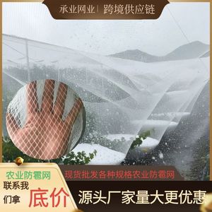 Malla de protección contra granizo agrícola Chengye de 0.5x0.5cm, malla blanca para aves, para viñedos, huertos de manzanas, peras y cerezas - Product Image 2
