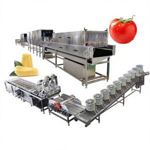 Laveuse et emballage <span class=keywords><strong>de</strong></span> graines <span class=keywords><strong>de</strong></span> jacquier commerciales traitant des machines à laver et à classer les <span class=keywords><strong>tomates</strong></span> fraîches - Product Image 1