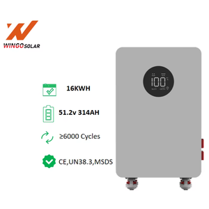 51.2V 314AH 鉛蓄電池からリチウム電池への変換、充電式リチウムイオンLifepo4バッテリーパック - Product Image 1