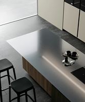 Vente en gros usine : Meubles de cuisine modulaires modernes de luxe en acier inoxydable, accessoires de robinetterie et charnières stratifiées - Personnalisables pour appartement
