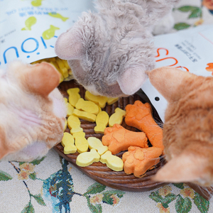 Golosinas Dentales para Mascotas, Aceite de Pescado Liofilizado, Alto en Proteínas, Fabricación OEM, Golosinas Liofilizadas para Perros y Gatos, Venta al por Mayor de Fábrica - Product Image 3