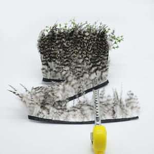 Accesorios de ropa de encaje con borde de tela de plumas naturales al por mayor patrón teñido con Emu <span class=keywords><strong>pollo</strong></span> pato verde puntas plateadas Borde de caña - Product Image 3