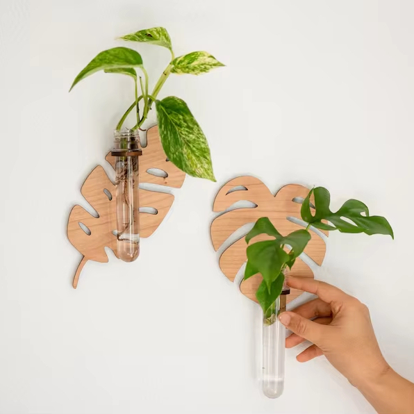 Desktop Glass Plant Propagation Station with