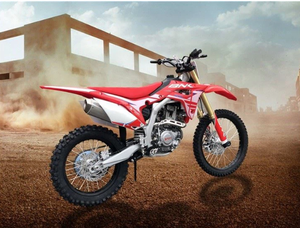 Venta Especial Motocicleta Todoterreno de 250cc Eléctrica/de Gasolina para Adultos, Motor de 4 Tiempos y 250cc, Frenos de Disco Delanteros y Traseros - Product Image 6