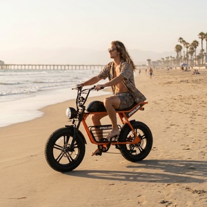 Vélo électrique urbain à charge rapide avec <span class=keywords><strong>porte</strong></span>-bagages arrière, vélo électrique robuste à pneus larges pour les trajets sur le campus - Product Image 5