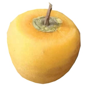 Pelatrice Industriale Automatica in Acciaio Inox per Frutta Limoni Pesche Mele - Product Image 6