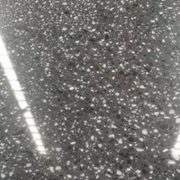 Dalles de terrazzo préfabriquées antidérapantes et résistantes à l'usure pour projets d'ingénierie commerciale