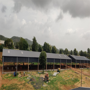 โรงเรือนเลี้ยงวัวโครงสร้างเหล็กสำเร็จรูปดีไซน์ทันสมัยสำหรับปศุสัตว์วัว - Product Image 3