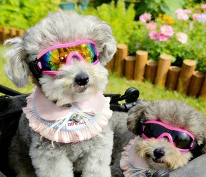 Lunettes de protection pour chiots, directement de l'usine, protection UV, lunettes de soleil pour chien, coupe-vent, protection des yeux pour animaux de compagnie en extérieur - Product Image 1
