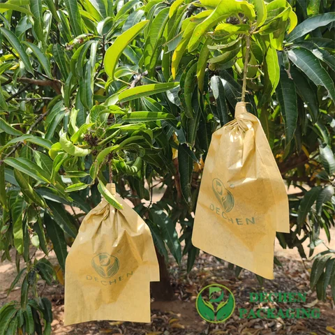 Wholesale Fruit Bagging for Mango and Pomegranate