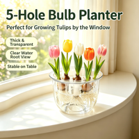 Pot de fleurs hydroponique haute transparence avec panier de plantation, vase en plastique transparent pour tulipes, jacinthes, pothos, décoration intérieure