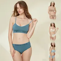 Großhandel Frauen Sexy Designer BH-Sets Benutzer definierte Hochwertige Hosen und BH-Set Sexy BH und Höschen